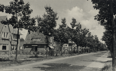 16475 Gezicht in de Paltzerweg te Den Dolder (gemeente Zeist), met de huizen Paltzerweg 225 (links) -hoger.